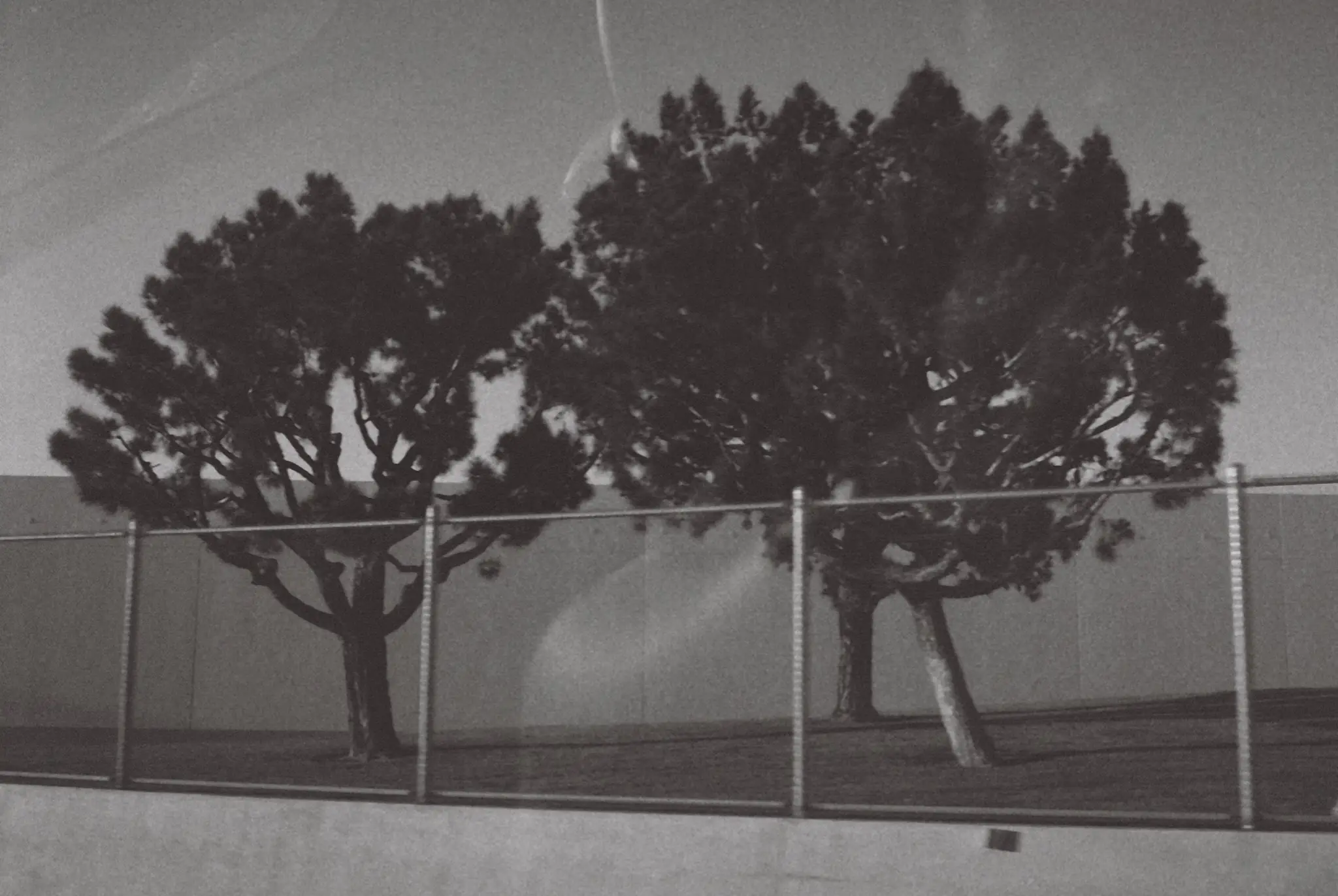 Local Minima photograph 5