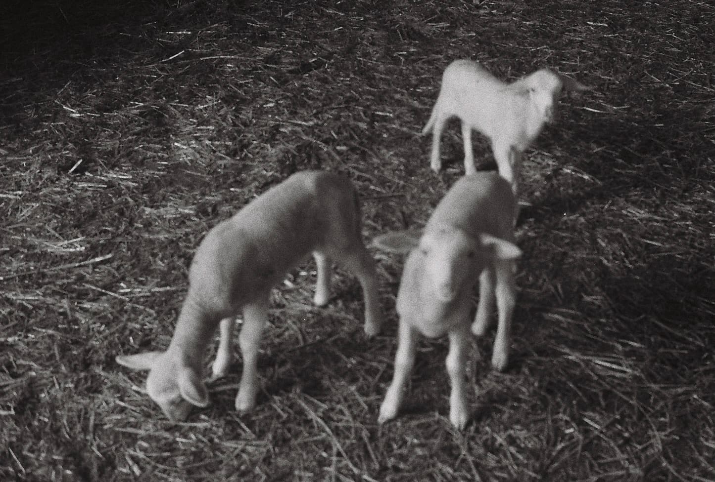 Local Minima photograph 7