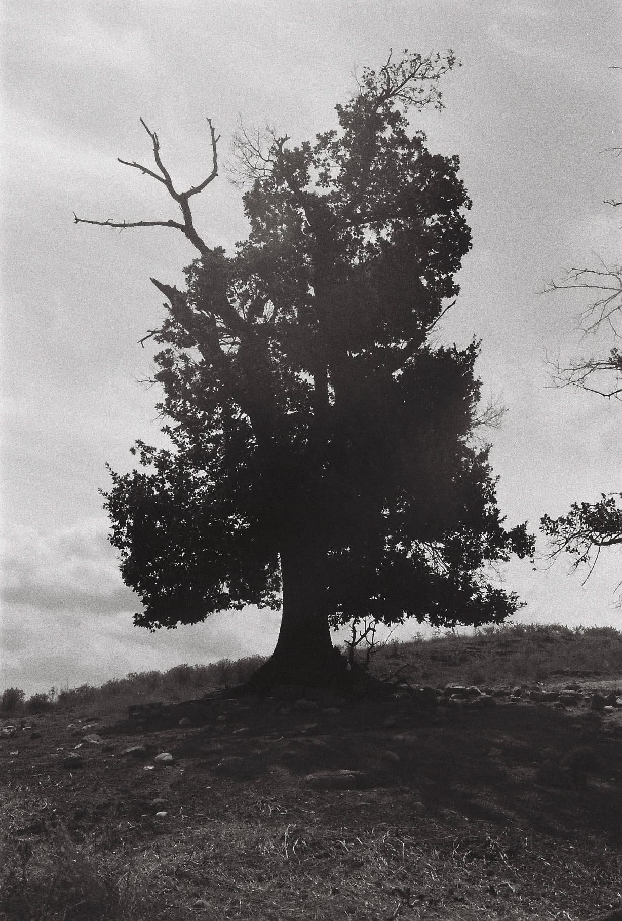 Local Minima photograph 9